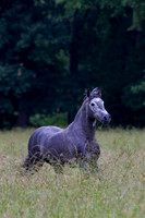 20110531_EKL_0009