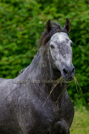 20110531_EKL_0057