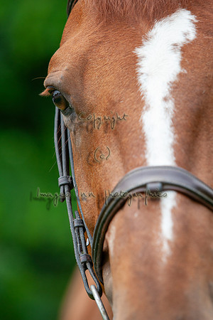 20080607_EKL_0071