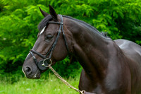 20080607_EKL_0084