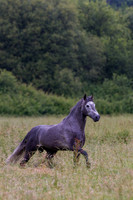 20110531_EKL_0004