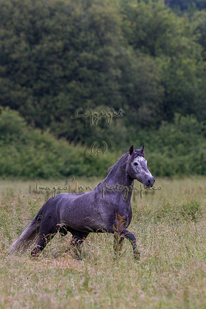 20110531_EKL_0004