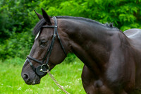 20080607_EKL_0092