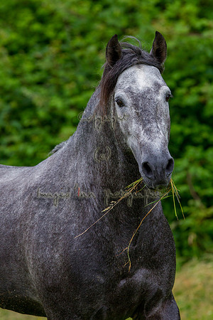 20110531_EKL_0056