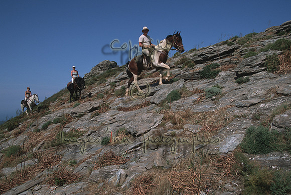 Cap Corse 08