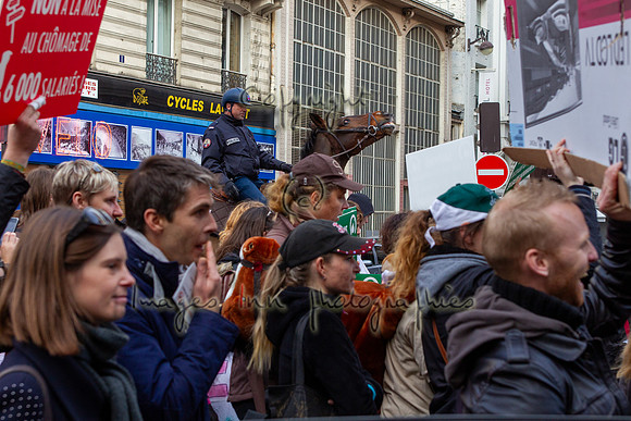 20131111_EKL_0128