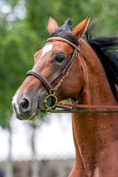 20070622_EKL_0017