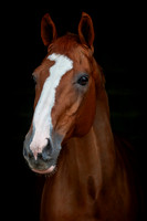20081021_EKL_0004