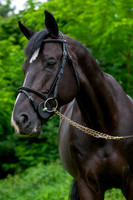 20080607_EKL_0082