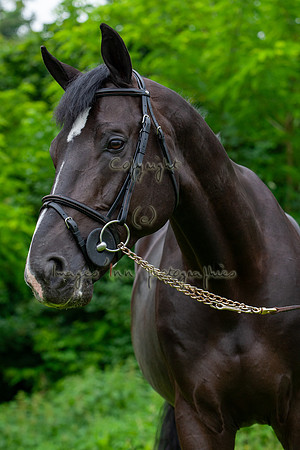 20080607_EKL_0082