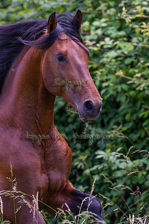 20110531_EKL_0101