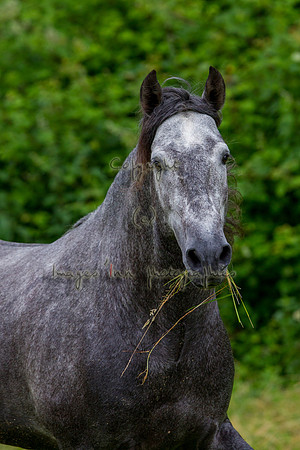 20110531_EKL_0055