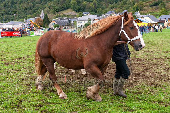 20061007_EKL_0100
