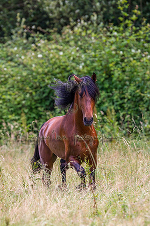 20110531_EKL_0091