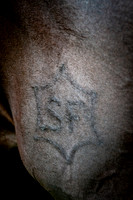 20080607_EKL_0095