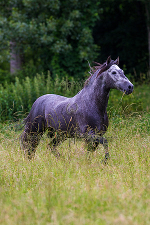 20110531_EKL_0051