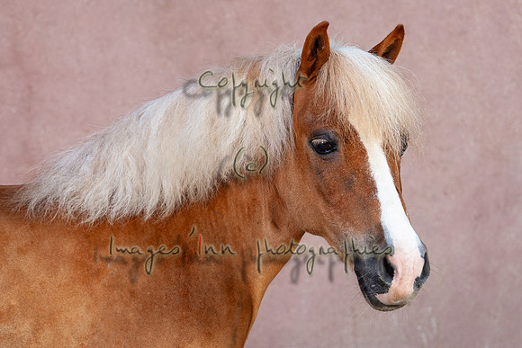 20090624_EKL_0074
