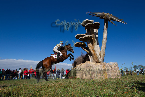 20121027_EKL_0143