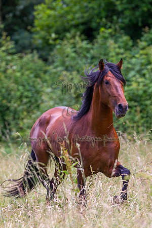 20110531_EKL_0098