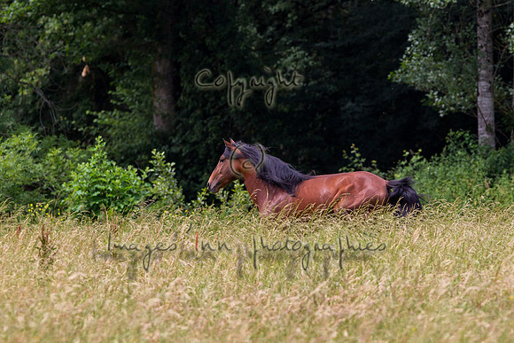 20110531_EKL_0063