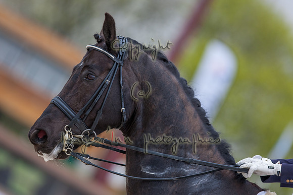 20090405_EKL_0051