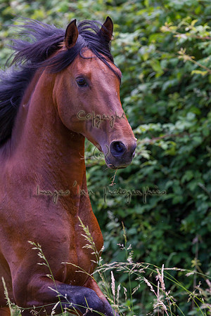 20110531_EKL_0100