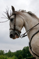 20070601_EKL_0003