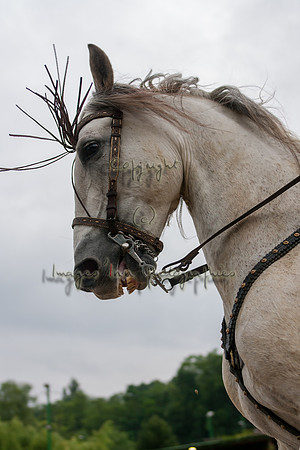 20070601_EKL_0003