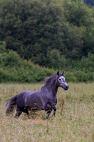 20110531_EKL_0003
