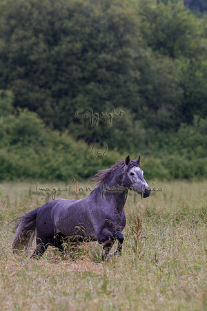 20110531_EKL_0003
