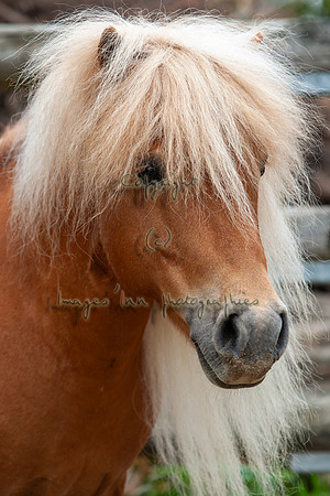 20090502_EKL_0023