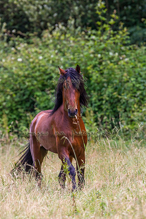20110531_EKL_0093