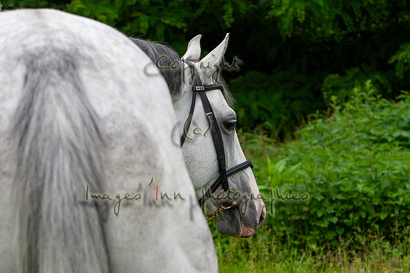 20080608_EKL_0026