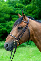 20080607_EKL_0031