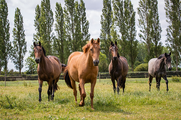 20230626_EKL_0292