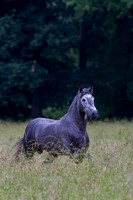 20110531_EKL_0008