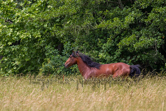20110531_EKL_0061