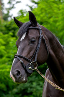 20080607_EKL_0083