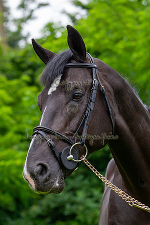 20080607_EKL_0083