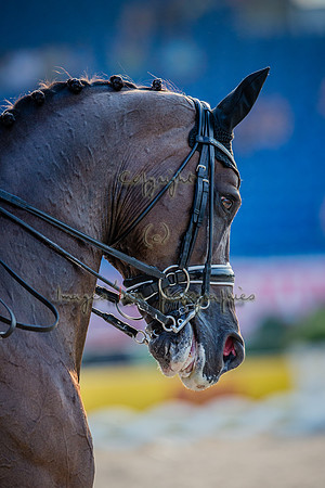 20150813_EKL_0399