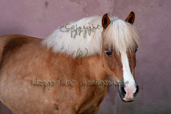 20090624_EKL_0010