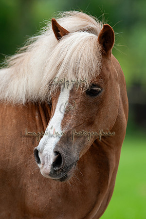 20090502_EKL_0008