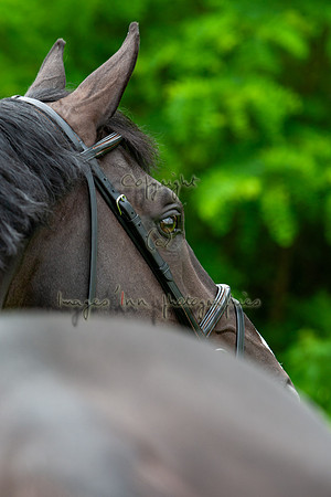 20080607_EKL_0099
