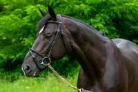 20080607_EKL_0085
