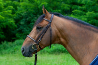 20080607_EKL_0023