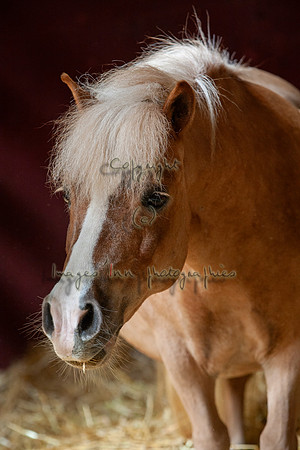 20090502_EKL_0048