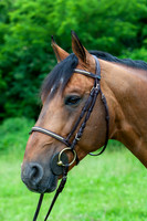 20080607_EKL_0033