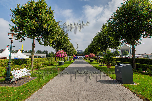 20150811_EKL_0029