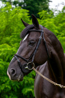 20080607_EKL_0077