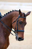 20070323_EKL_0005